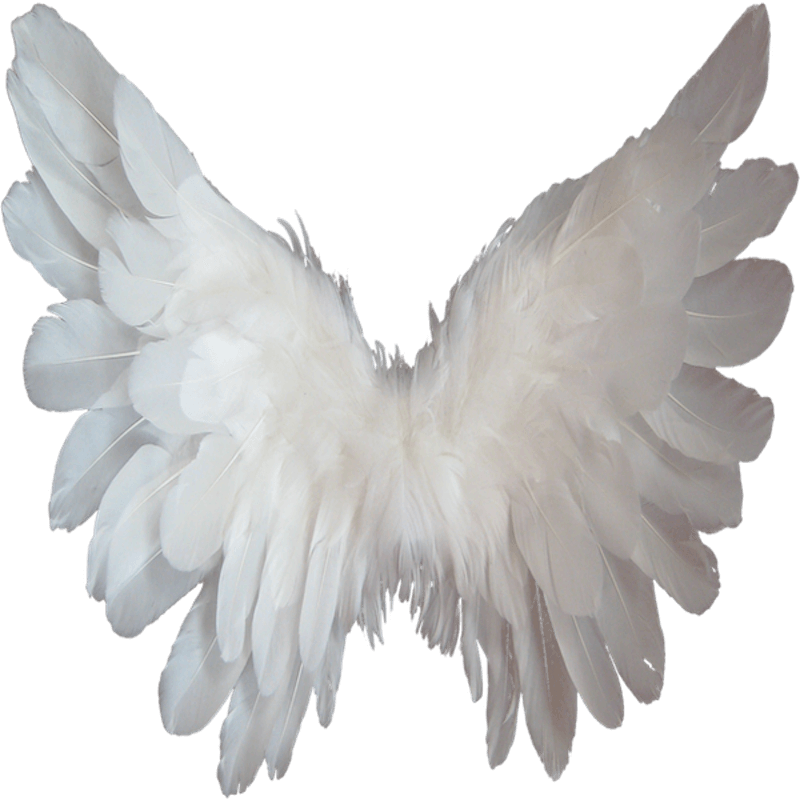 Angel Wings Yatzuri