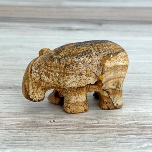 Picture Jasper Bear - No. 98 - Yatzuri