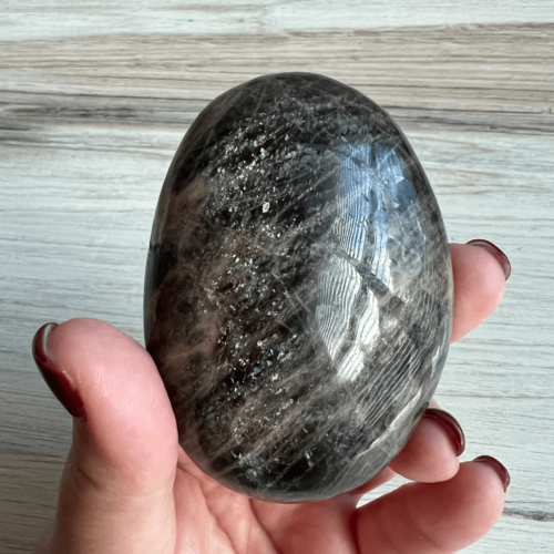 Black Moonstone Palm Stone - No. 145 - Yatzuri
