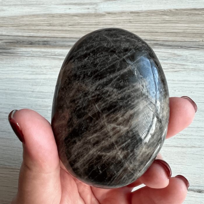 Black Moonstone Palm Stone - No. 145 - Yatzuri Shop