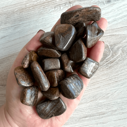 Bronzite Tumbled Stones - No. 45 - Yatzuri Shop