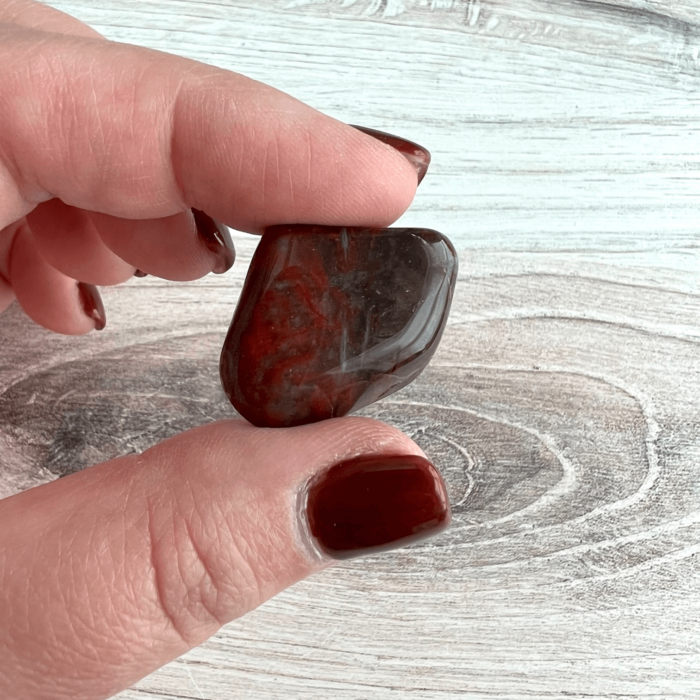 Petrified Wood Tumbled Stone - No. 133 - Yatzuri Online Shop