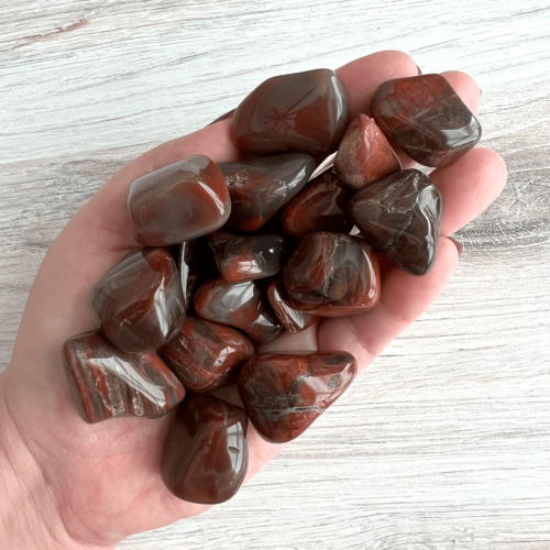 Petrified Wood Tumbled Stones - No. 133 - Yatzuri Shop