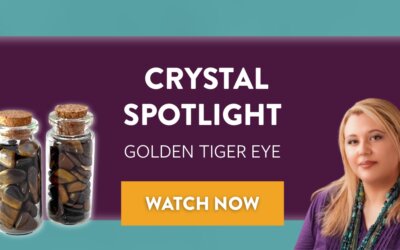 Crystal Spotlight: Golden Tiger Eye